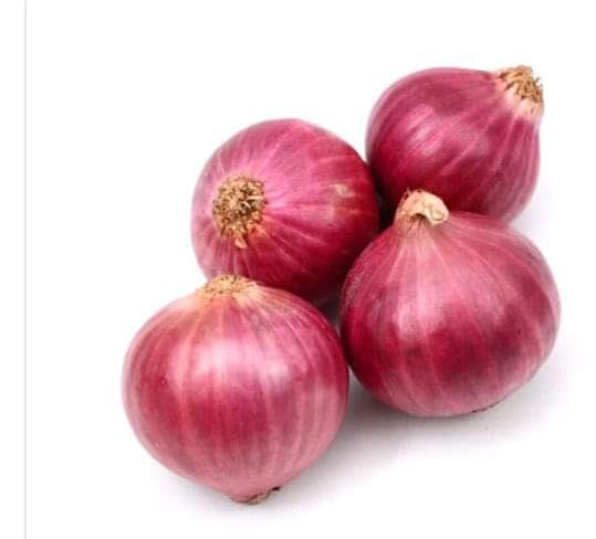 സവാള-Onion-ഉള്ളി